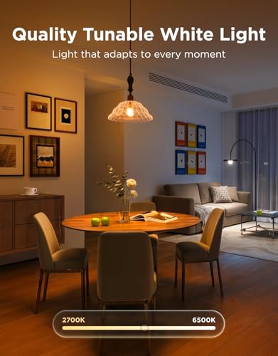 Smart Bulb Starter Kit Color Changing