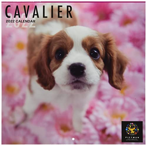 インターズー クリニッククラブ キャバリア 2022年 カレンダー 壁掛け CL22-1206 白