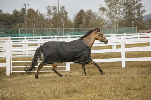 Image of TUFFRIDER 1200 D Comfy Medium Weight 200G Standard Neck Winter Horse Blanket, Black, 78-in