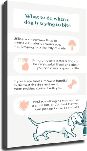 QMIQXIWS Guide Poster   Canvas Wall Art Prints for Dog Bite Prevention   Pet Decor for Home, Office, and Veterinary Use(Unframed,08x12inch(20x30cm))