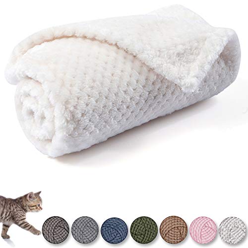 Image of Dog Blanket or Cat Blanket, Warm Soft Fuzzy Polyester Fleece Throw Blanket for Puppy, Small, Medium, Large Dogs or Kitten, Cats, Ivory, M /32 inch x 40 inch
