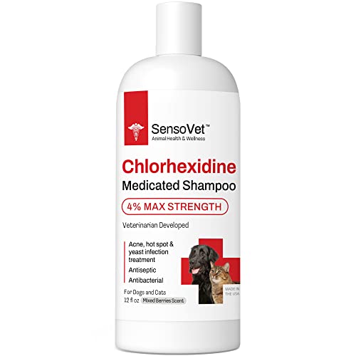 Top 10 Best Chlorhexidine Shampoo For Dogs For 2023 Maine Innkeepers