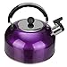 Housoutil Bouilloire de Sifflement Bouilloire Supérieure en Acier Inoxydable de 2 litres Bouilloire de Camping de Plaque de Cuisson pour Cuisinière à Gaz Ou Plaque D' Induction Purple
