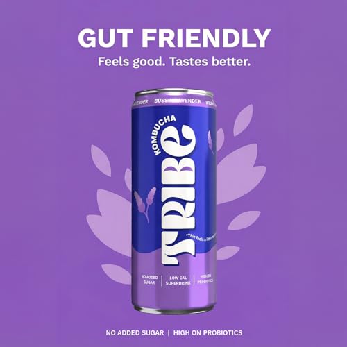 Image of Tribe Kombucha Probiotic Super Drink | Supports Gut Health | Gluten-Free | Naturally Fermented | Super Refreshing | Gut Friendly | Improves Blood Sugar | Antioxidant and Hydration | No Added Sugar | 250 ML X 6 (BUSSIN LAVENDER)