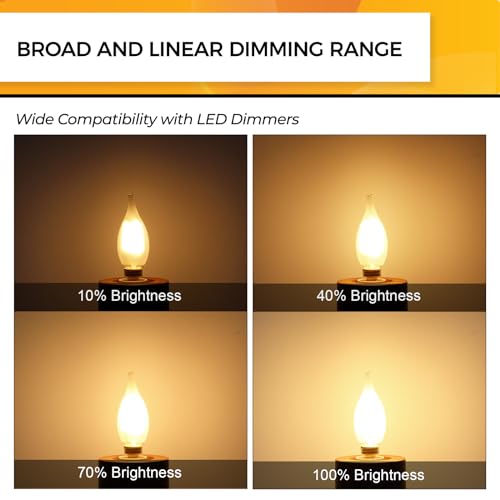 Hizashi Frosted Candelabra Light Bulbs, 40W Eq Dimmable, 2700K 12 Pack - image 4
