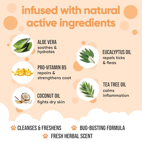 flohshampoo Hund von Buddycare - flohshampoo Hund bei befall Beseitigt Flöhe, Zecken & Milben - Tiefenreinigungsshampoo für Hunde, milben Shampoo flöhe bekämpfen (500ml)