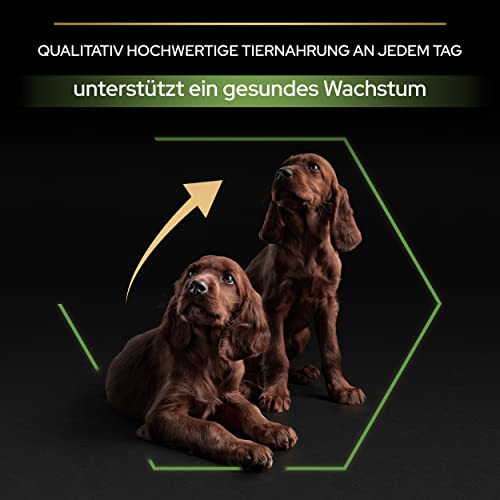 Pro Plan Large Athletic Puppy Healthy Start, Welpenfutter trocken, reich an Huhn, 1er Pack (1 x 12 kg)