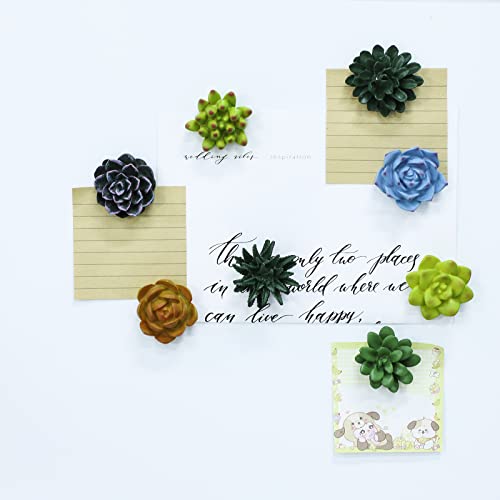 Imanes decorativos de resina con diseño de plantas suculentas, set de 8 miniatura 6