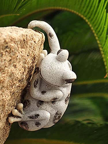 Simulation animale grenouille décorative pour cour et muret extérieur - 2
