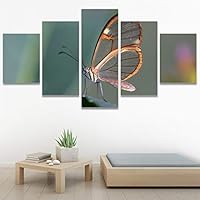 SIGNWIN 5 Panel Canvas Wall Art Birds Butterfly Closeup Colorful Contemporary Home Office Modern Art Multicolor Photography for Home Decorations Ready to Hang - 60
