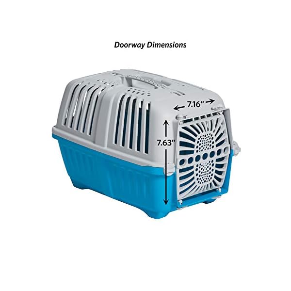 Pet Carriers for Extra Small Dogs