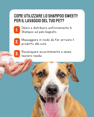 Antiallergisches Hundeshampoo für Hunde mit empfindlicher Haut – weiches und glänzendes Fell, sanftes pflegendes Shampoo, ideal für empfindliche Hunde mit Intoleranz, 250 ml (Vanille Sweety)