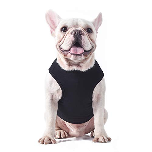 Star Wars For Pets Black & Yellow Logo Dog Tank | Star Wars Dog Shirt For Large Dogs | Size X-Large For Large Size Dog Breeds | Adorable Dog Clothing And Apparel #TOP3