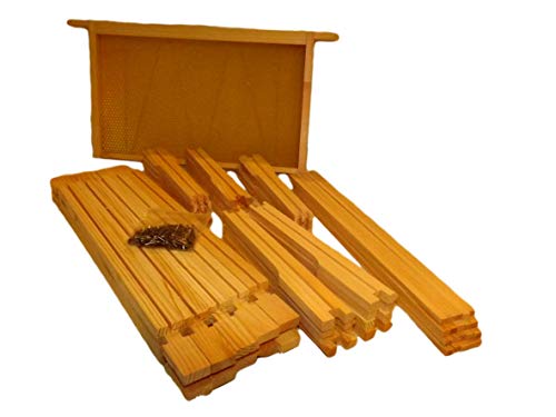 Beekeeping Supplies UK - Beekeeping Supplies UK Ltd - Beehive Brood Frames - DN4 x 10 - Hoffman Self Spacing Brood Frames for British National Hives - Flat Packed with Nails