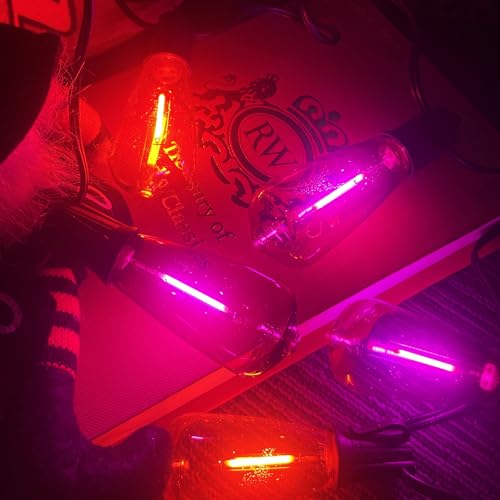 Image of GOOTHY LED Outdoor Halloween Orange and Purple String Lights 10Ft Halloween Decorations Lights with 11 Shatterproof Bulbs, Hanging Patio Lights Outdoor Waterproof for Party Backyard Garden Decor