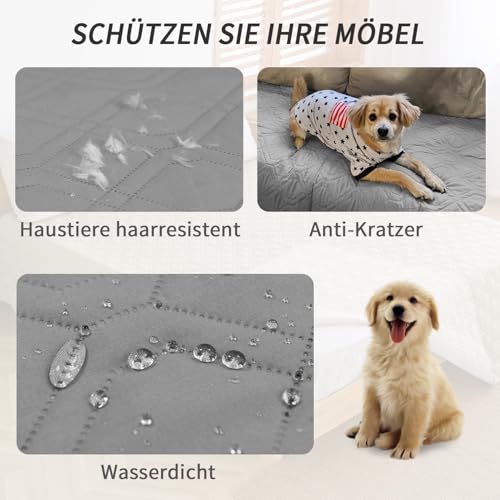Amarrirose wasserdichte Hundedecke - Robuste Hundematte,75 * 175cm Outdoor hundematte maschinenwaschbar,Wendedecke hundedecke für unterwegs,Hunde & Katzen geeignet Grau + Dunkelgrau