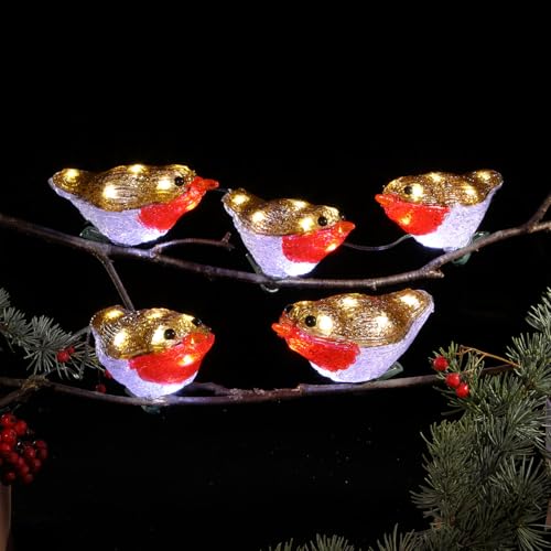 Image of Festive Lights - Set of 5 Acrylic Robin Battery Powered Multicolour Christmas Figures with Clips - 1.2m Lit Length, 40 Warm White LEDs, 6 Hour Timer, Indoor Outdoor Garden Use, IP44 Rated, Clear Cable