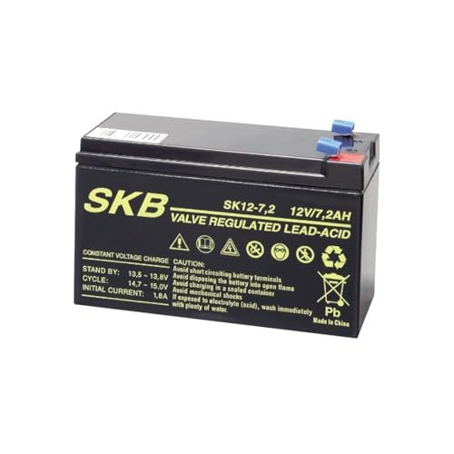 Batteria Al Piombo 12V 7A Ricaricabile Skb - IT