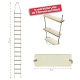 Holzleiter Test Holzleiter Test