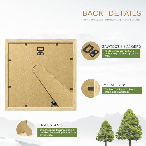 Image of 12x12 Picture Frame Set of 4, Natural Solid Wood Frames, Wall Mount
