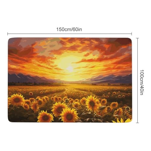 Tapis antidérapant grand tapis velours corail contre sol glissant