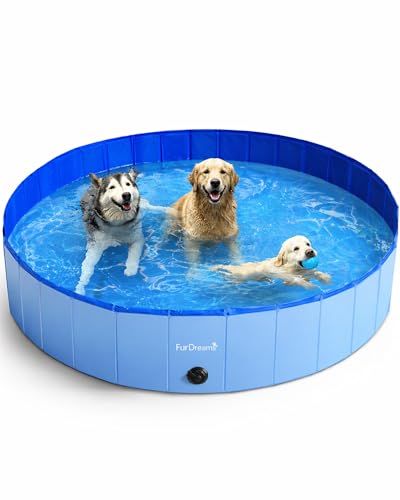 How to give a dog a good bath