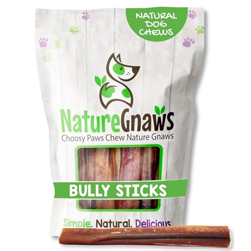 Image of Nature Gnaws Extra Large Bully Sticks for Dogs 5-6 inch (6 Count) - Thick Long Lasting for Aggressive Chewers and Heavy Chewers - Natural Beef Dog Chew Bones