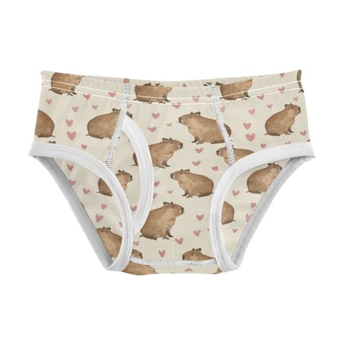 Boys' Exclusive Briefs Toddler Underwear 95% Combed Cotton Boxerbriefs 2T Capybara and Heart Pattern 7