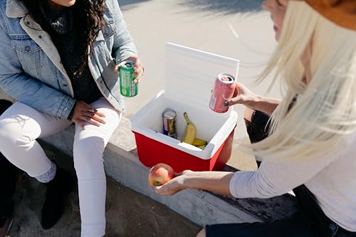 Igloo Passive Mini Cool Box Laguna 9 Small Lightweight Thermal Box for Camping, Breakfast, Work and Snacks, 8 Litres - Image 2