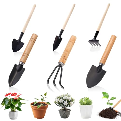 6 Pezzi Mini Attrezzi da Giardino Mini Giardinaggio Attrezzi Set di Attrezzi da Piante Piccola Rastrello Pala con Manico in Legno per Piante in Vaso di Fiori piantine di Piante Bonsai