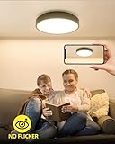 Lamptobe GR8 2 Pin 16W 2D Compact Fluorescent Light Bulb Warm White 3500K GR8 DD Square Flat Butterfly Bulb AC 220-240V 2-Pin CFL Lamp for Ceiling Flush Light, Bathroom Lamp, Not Dimmable (1-Pack) - Image 3