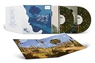 Room Under the Stairs (2lp) [Vinyl LP]