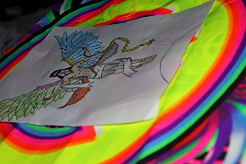 THIS BOOK IS FOR THE GAYS (English Edition)