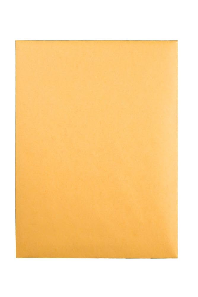 Quality Park Lot de 100 enveloppes kraft marron avec fermoir transparent 22,9 x 30,5 cm