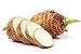 justLeaf. 4 Taro Bulbs: Free 3 Day Shipping from USA. Green Elephant Ear Plants. Colocasia Esculenta, Cocoyam Plant, Fast Growing Edible Vegetable. Contains many Antioxidants and Vitamins EASY TO GROW