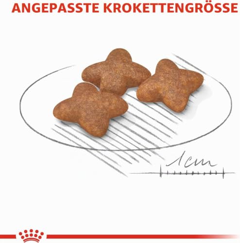 Royal Canin Mini Adult | 800 g | Trockennahrung für ausgewachsene kleine Hunde | Kann zur optimalen Versorgung Kleiner Hunderassen eingesetzt Werden | Mit EPA & DHA