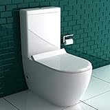 Stand WC de cerámica sanitaria con Geberit – guarnición