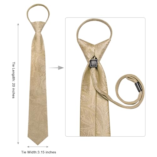 Image of Hi-Tie Zipper Beige Paisley Ties for Men Adjustable Pre-Tied Necktie Lapel Pin Pocket Square Cufflinks Set