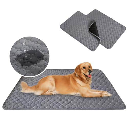 y2Zbgz ybg}bg 􂦂 z 4w\ Rh~ A}bg ~ gCbgy[p[ RۖhL LPA ې􂢉\ JԂg (L(50*70CME2Zbg),O[) [sAi]