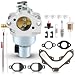 Carbhub 20 853 33-S Carburetor for Kohler 20 853 01-S 02-S 14-S 16-S 33-S 42-S 43-S for Kohler SV590 SV591 SV600 SV601 SV610 SV620 CV CV490 CV491 CV492 CV493 Engine Carb 12 853 117-S