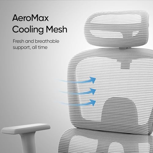 Image of AeroMesh Ergo Chair, Adjustable Armrests & Headrest, Lumbar Support, Breathable Mesh Back Fabric, Customizable Seat Depth & Height, Office Chair,120 kg Capacity- Grey