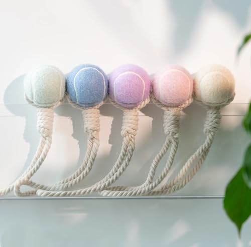 Wauzebacke Hundespielzeug, Tennisball mit Seil 32cm in verschiedenen Pastellfarben, interaktives Wurf- und Zerrspielzeug, Zahnpflege, langlebig (Hellblau)