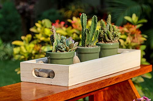 Strova Decorative Wood Serving Trays With Handles (Set Of 2) Rustic Farmhouse Home Décor – Multipurpose Nesting Wooden Crates For Décor Display And Storage – Rectangular Wood Servers Measure 15 Inches #TOP1