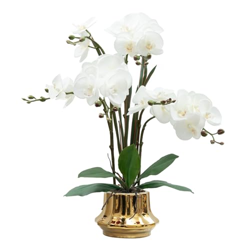 CXGS Planta de orquídea artificial de 20.9 pulgadas, orquídeas sintéticas de tacto real en jarrón de cerámica, arreglo floral de Phalaenopsis falsa blanca, orquídeas de seda con tallos para centro de
