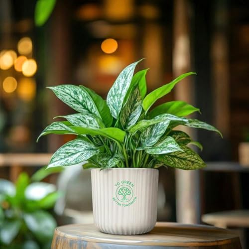 Image of Yo Green Modern Ribbed Ceramic Planter Pot | White Matte Indoor Plant Pot for Home, Office & Living Room Decor (Ribbed Design-4 Inch-Pink)
