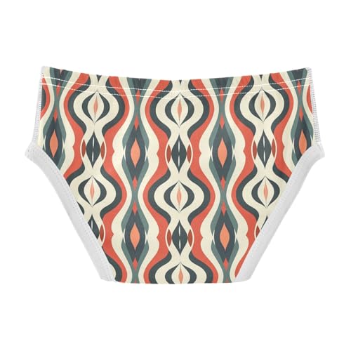 visesunny Boys Cotton Underwear Kaleidoscopic Illusion Line Printed Toddler Soft Training Briefs Size 2T-8Y for Kids2