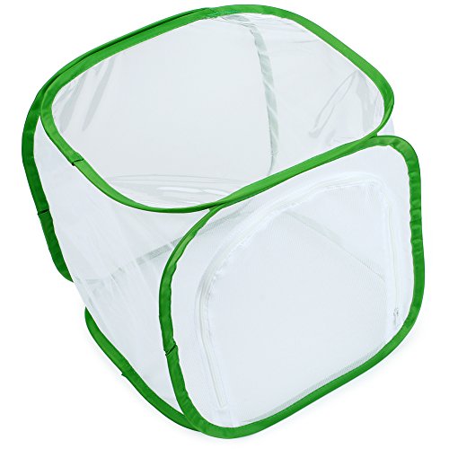 Image of RESTCLOUD Insect and Butterfly Habitat Cage Terrarium Pop-up 12 X 12 X 12 Inches