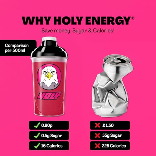 HOLY Energy Gaming Booster Flavour Powder | 50 portions with NewCaff & Green Tea Extract | Focus Booster - Focus Drink | Vegan with 100% natural fruit flavours (350 grams, Raspberry Raptor)