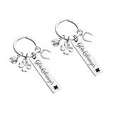 Vauki Llavero pequeño amuleto de la suerte, 2 llaveros de acero inoxidable con herradura y colgante de trébol de cuatro hojas, regalo de cumpleaños para colegas/estudiantes