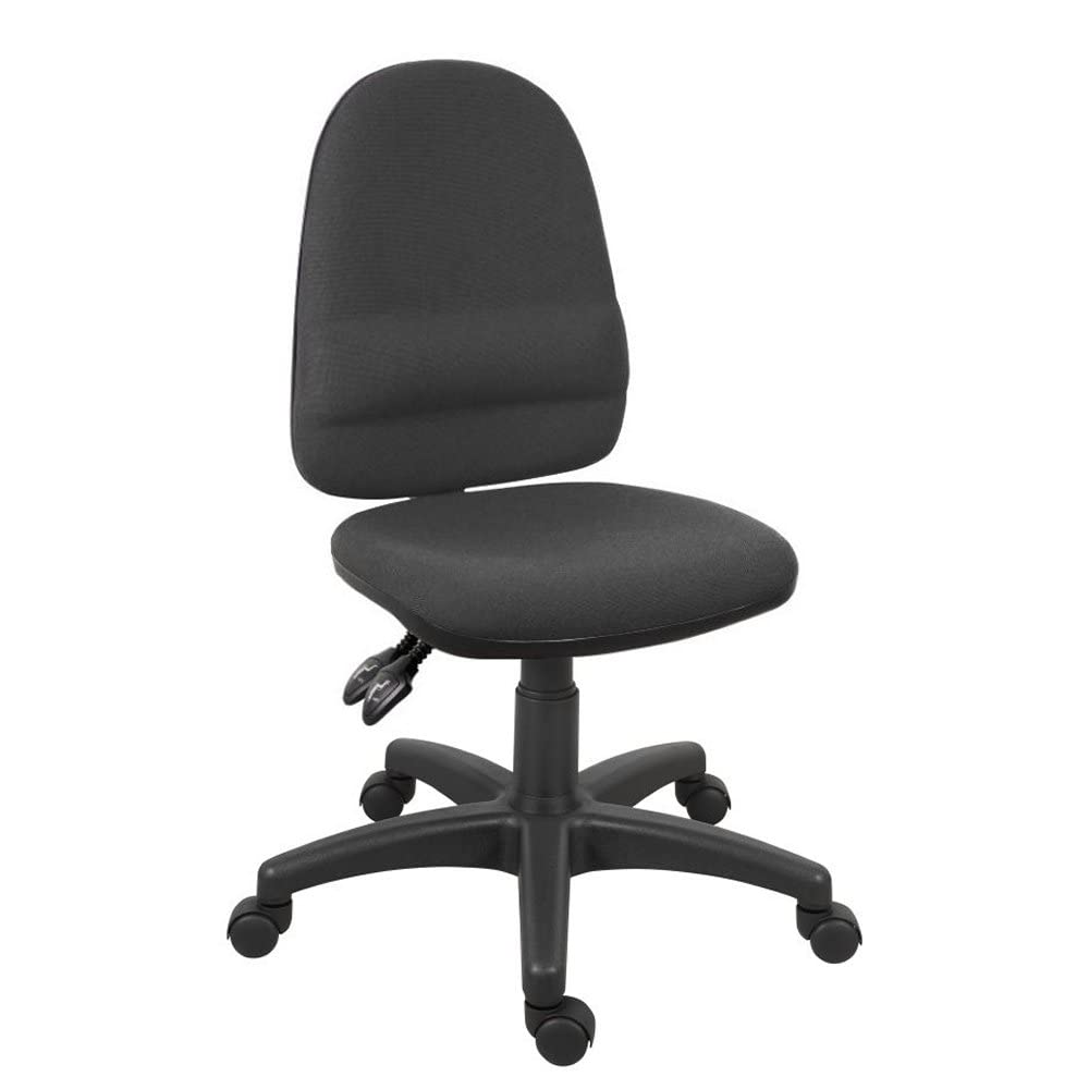 LAB SPACE - Mist 2 Office Chair Upholstered in Black, Charcoal or Blue Fabric - Operator Chair with Adjustable Backrest, Computer Home Office Chair (Height Adjustable Arms, Charcoal)